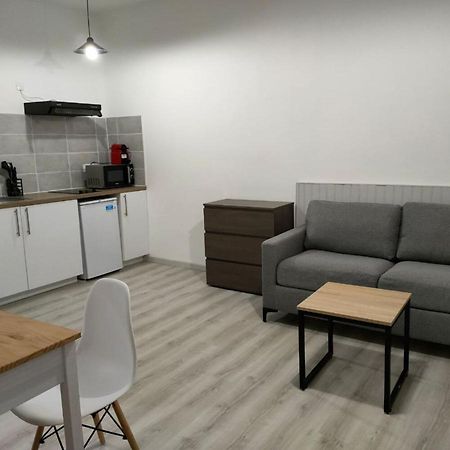 Saint Etienne Studio Lot 8 Apartment ตูลูส ภายนอก รูปภาพ